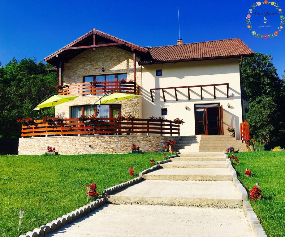 Pensiunea Casa Florela Capusu Mic Ngoại thất bức ảnh